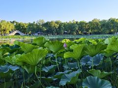 -长春市南湖公园