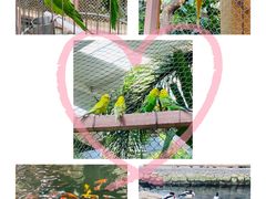 -南宫五洲植物乐园