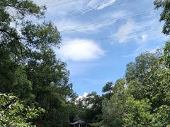 -滴水岩森林公园