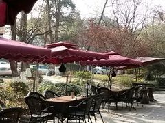android_upload_pic-渔集晓院·非遗湖北菜(东湖省博店)