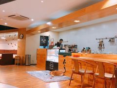 -柴务处·柴犬主题狗咖