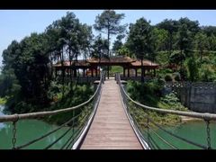 -铁山坪森林公园