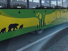 -黑瞎子岛探秘野熊园