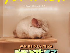 -龙猫仔乐园(惠福东路店)