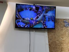 -易贝乐成长中心(坂田中心)