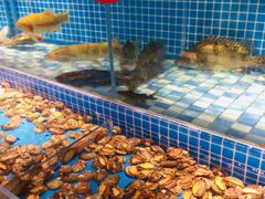 -蓝钻·国际美食海鲜自助百汇(西直门店)