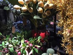 -范设计花园餐酒咖·中西餐·咖啡厅·酒馆