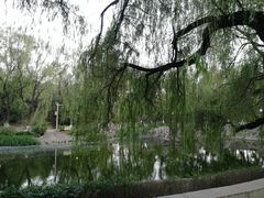 -满都海公园