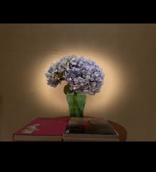 -尊尚柏丽美容SPA