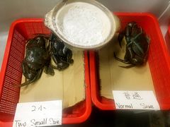 -龙海鲜螃蟹王(宏茂桥店)