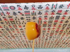 -美芝莲(东方宝泰店)
