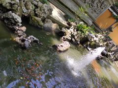 -普陀山风景名胜区-法雨禅寺