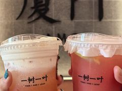 -一树一叶·福建茶档(石鼓路店)