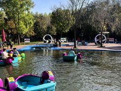 -西部长青自然儿童乐园