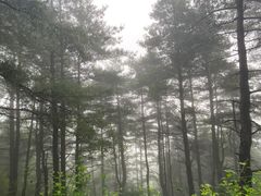 -苍山感通索道