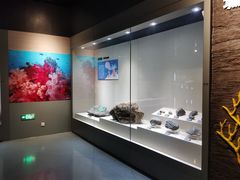 -安徽省地质博物馆