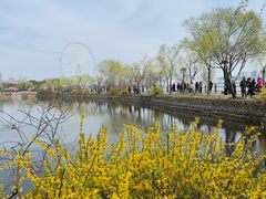 -无锡蠡湖国家湿地公园-蠡园