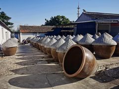 -苏州市吴中区光福窑上花果蜜饯厂