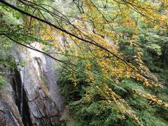 iphone_upload_pic-王顺山国家森林公园
