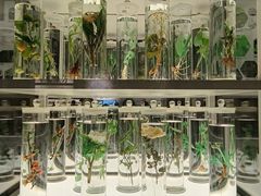 -北京中医药大学-中医药博物馆