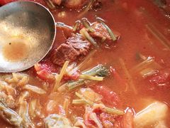 -紫光园·烤鸭·北京菜(劲松店)