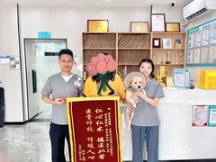 -东莞宠友24H宠物中心医院·转诊夜诊·异宠(新河北路院)