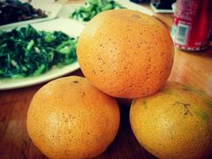 -温州山水家园农庄