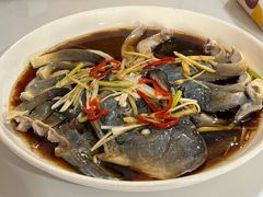 -煲来饱去冷水鱼