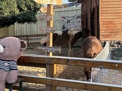 -HERRE·FARM 赫尔露营农场·团建聚会包场