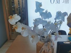 点击看大图 -OM瑜伽教练培训学院