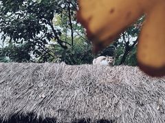 -驿舍·民國老营房院子私房菜(白市驿店)