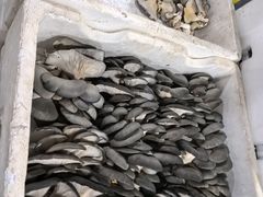 -锦绣大地生鲜食品厅