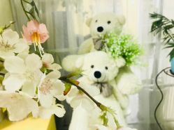 -邦叔叔.亲子全家福毕业照跟拍摄影(嘉定店)