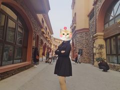 -世园罗曼小镇