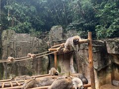 -杭州野生动物世界