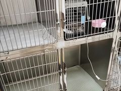 -美联众合动物医院·24h京西诊疗中心