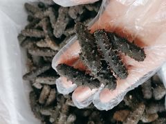 -宫品海参专卖店(静安大宁店)