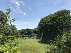 -名古屋城