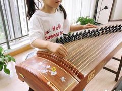 -叶老师古筝工作室(杨公桥店)
