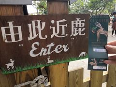 -鹿境梅花鹿生态园区