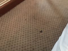 -杭州金马国际酒店
