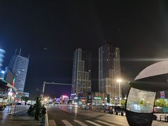 -阜阳站