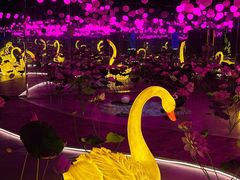 -华谊兄弟（长沙）电影小镇