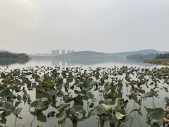 -云龙湖旅游景区