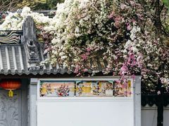 -深圳国际园林花卉博览园