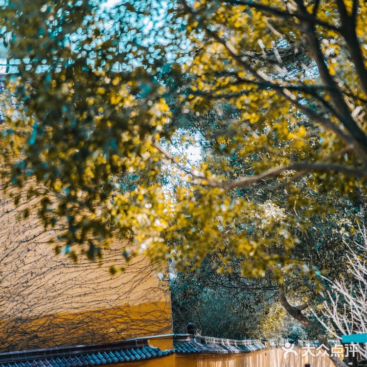 宁波|慧日禅寺,99.9%的人都不知道的小众寺庙