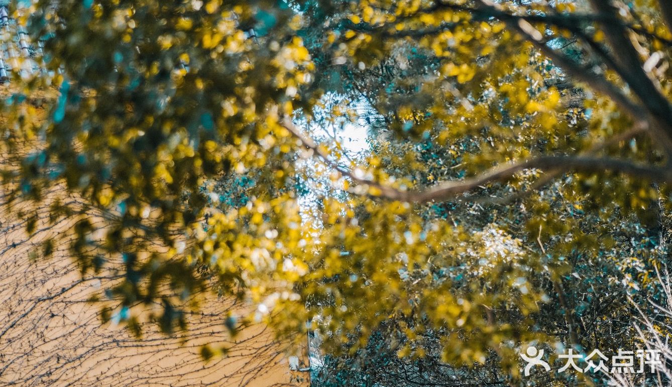 宁波｜慧日禅寺，99.9%的人都不知道的小众寺庙