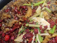 -老板恋上鱼(印象城店)