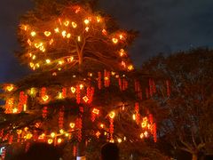 -花溪公园