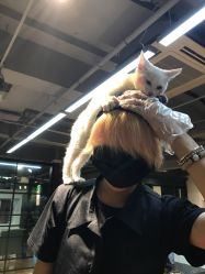 -HMC美容按摩SPA馆